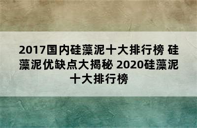 2017国内硅藻泥十大排行榜 硅藻泥优缺点大揭秘 2020硅藻泥十大排行榜